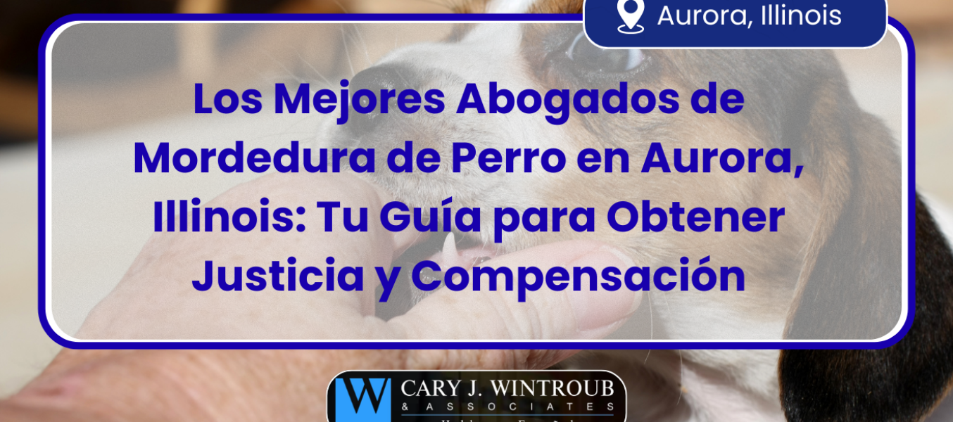 Los Mejores Abogados de Mordedura de Perro en Aurora, Illinois: Tu Guía para Obtener Justicia y Compensación