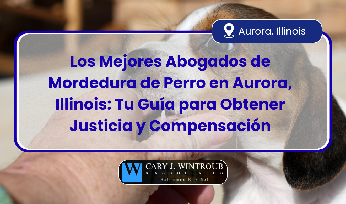 abogados de mordedura de perro en Aurora, Illinois